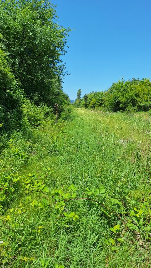 Продава се Парцел в Асеновград - 1319 кв.м за 12 €/кв.м - Снимка #1