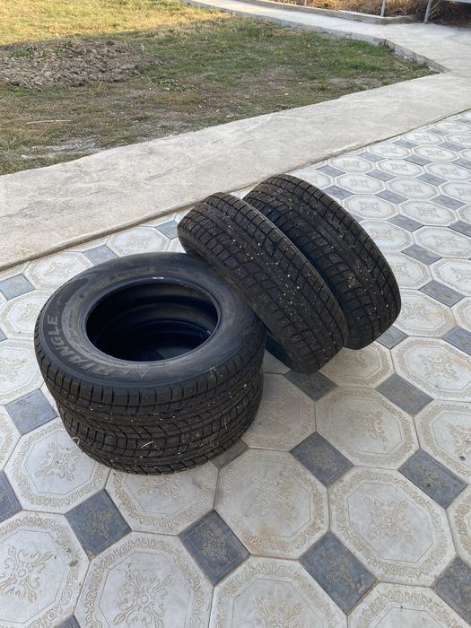 Зимние Шины Triangle