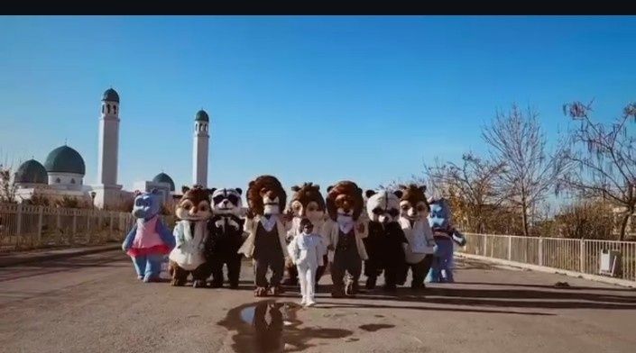 Продается аниматор комплекте