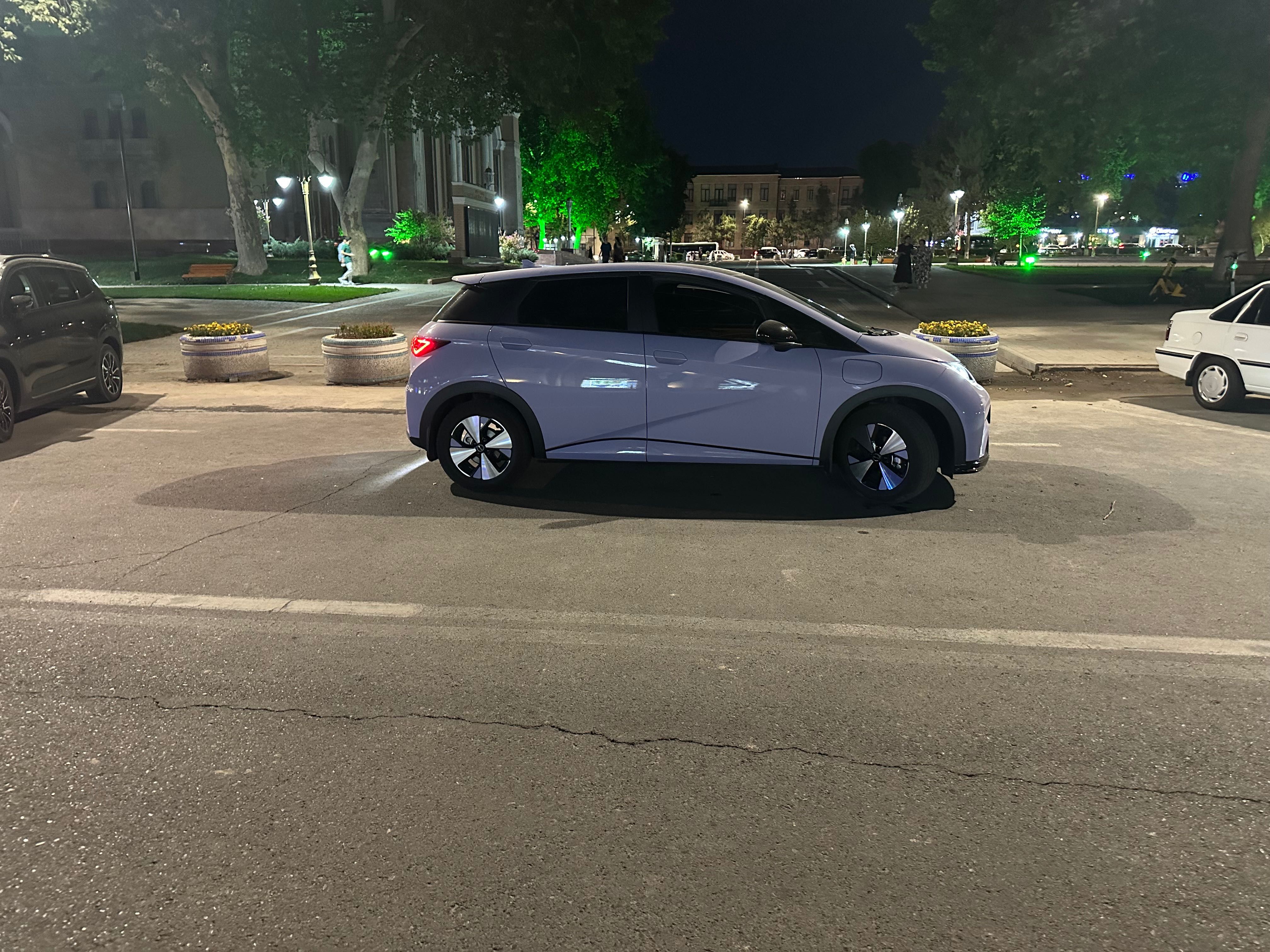 BYD Dolphin fashion