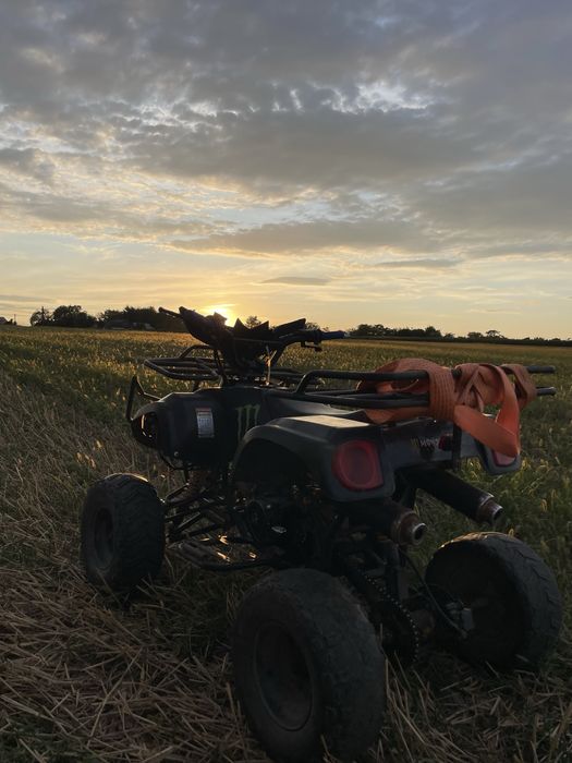 vand atv 125 cc pret negociabil !!!