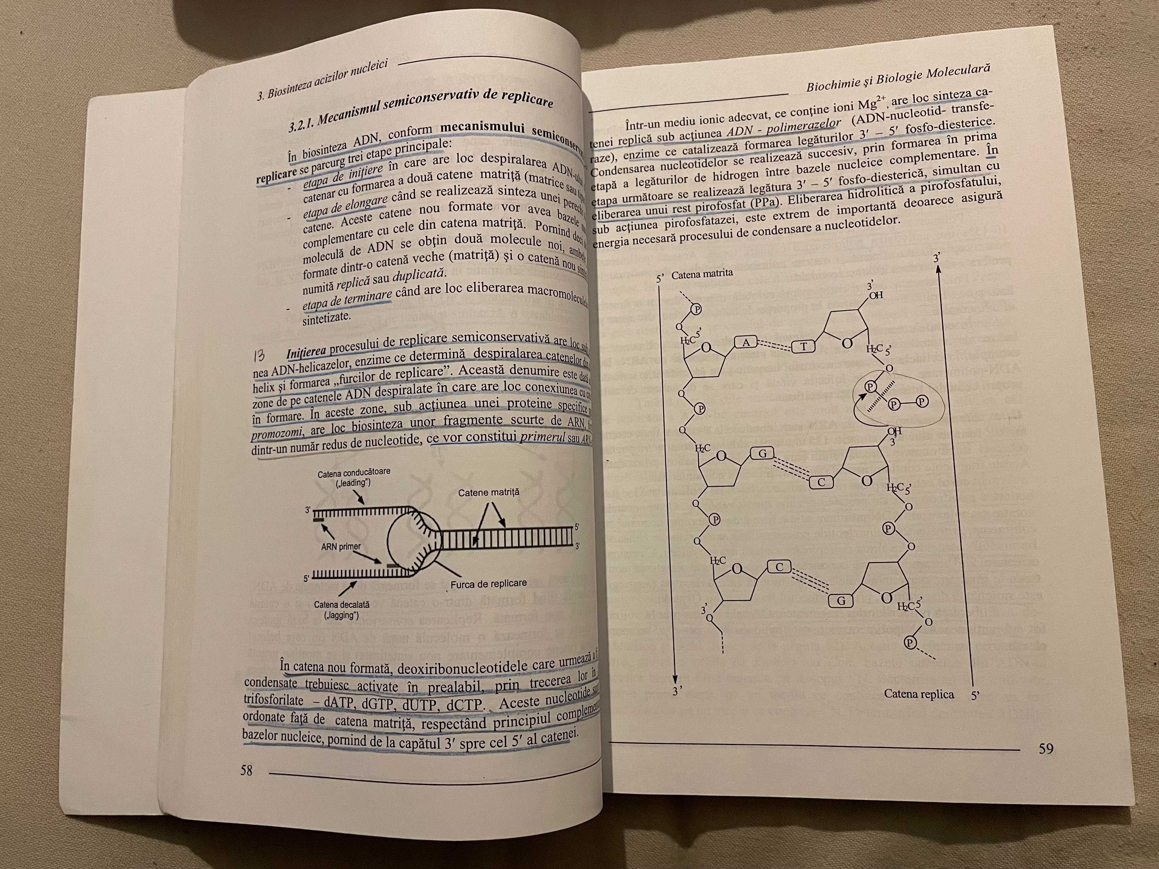 Biochimie si biologie moleculara - Sanda Andrei, Dumitrita Rugina