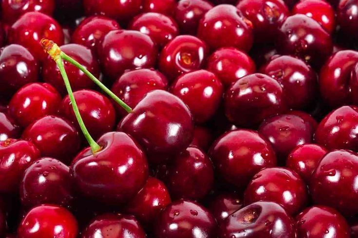 продаю вишню ,спелую вкусную