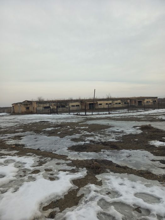 Фазенда база.     .