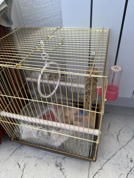 Продам абсолютно новую клетку для птички со всеми акссессарами