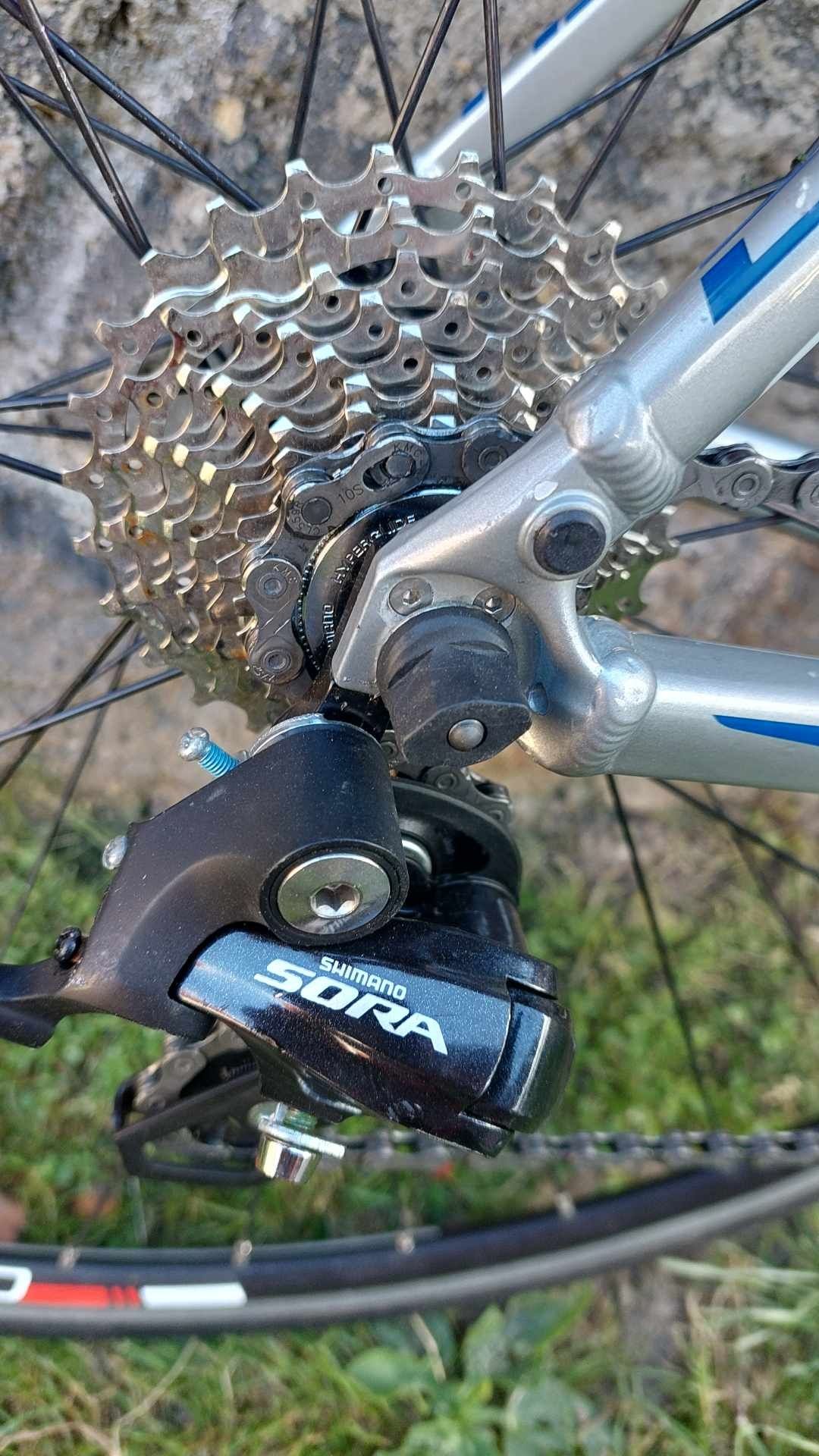 Cursiera Giant Defy