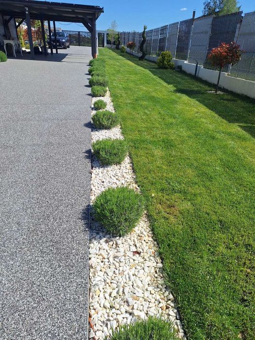 Garden Elen | Gazon Rulou & Semințe + Pregătire & Întreținere