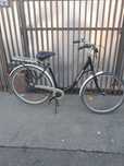 Bicicleta de dama