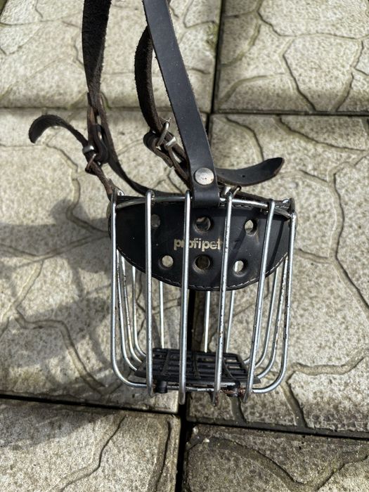 Vand Botnita pt Caine Stare Perfecta