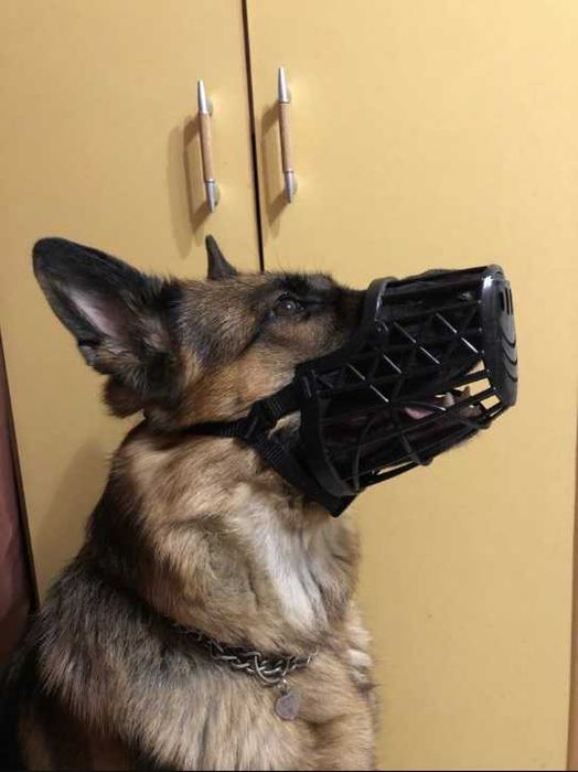 Намордник за куче наморник за голямо малко куче регулируем namornik