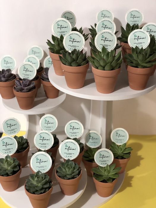 Marturii suculente nunta