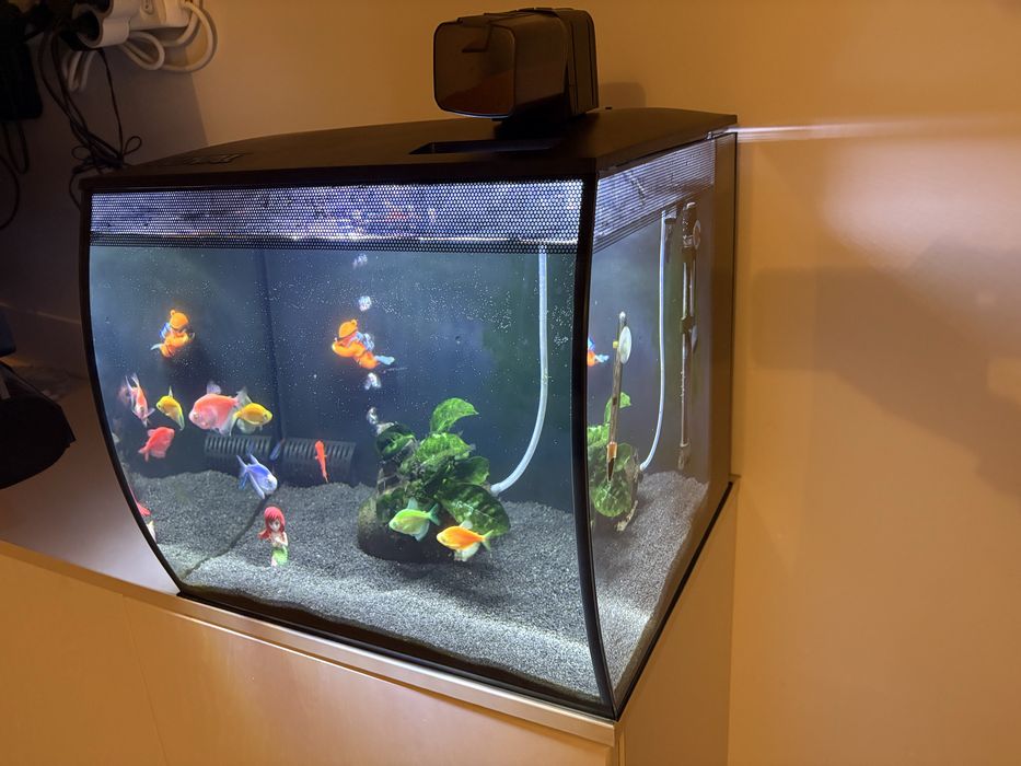 Аквариум Fluval Flex 57 +помпа+нагревател+препарати+ рибки