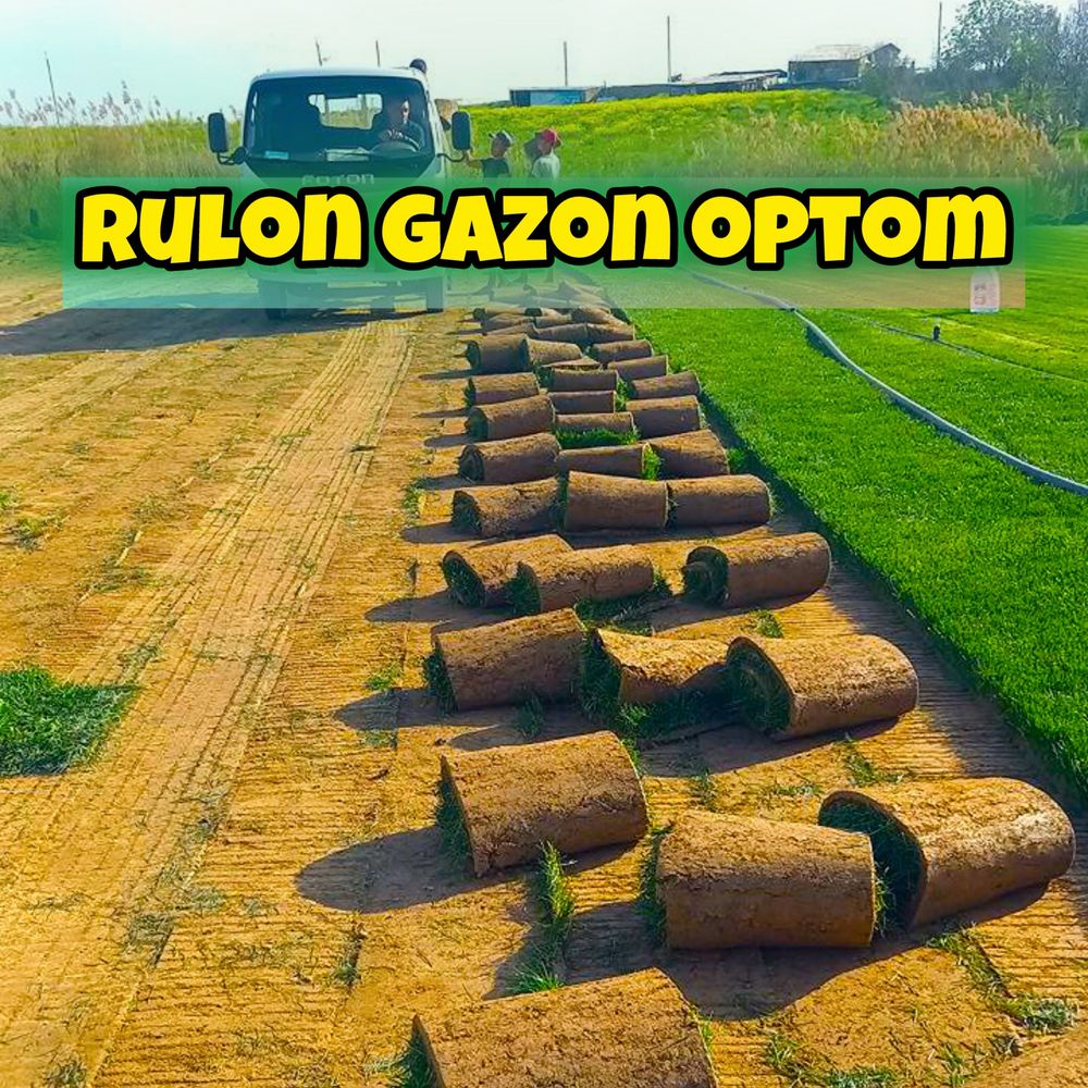 Живой газон рулонный Gazon ekish xizmati