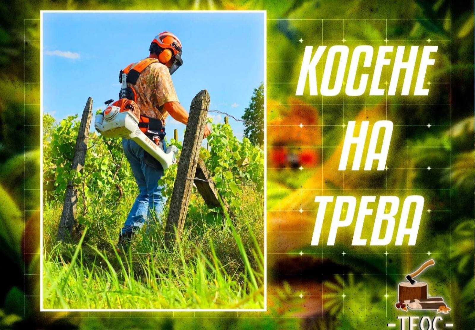 Почистване на дворове,терени,парцели и къщи!