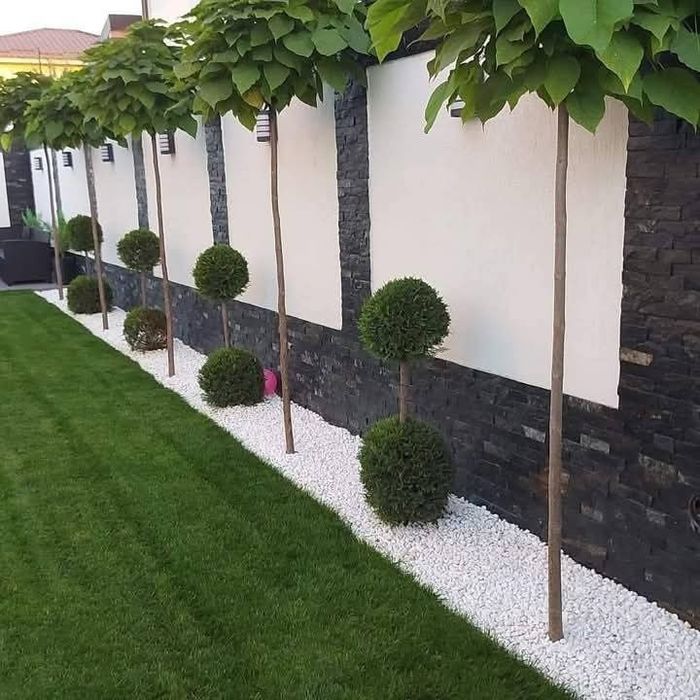 Plante ornamentale asiguram transport în toată tara