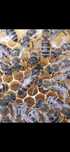 Matci imperecheate natural,matci neimperecheate, botci 2025