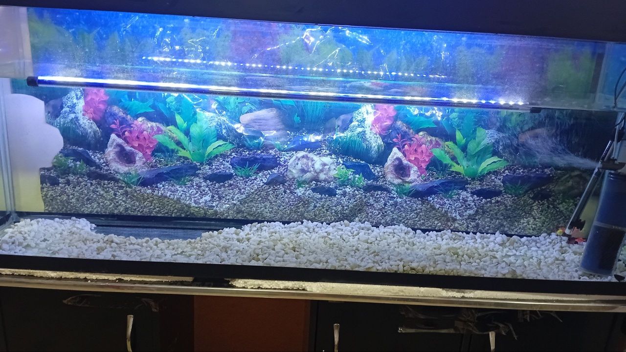 Akvarium Evro Kronka 10mm 160×40×70
