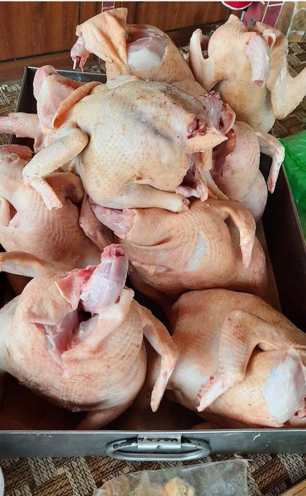 Продавам бройлерни кокошки за клане