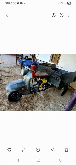 Муравей в хорошем состоянии