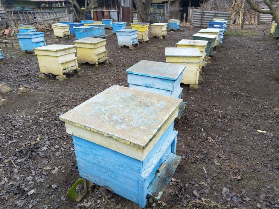 Пчеларски оборудване