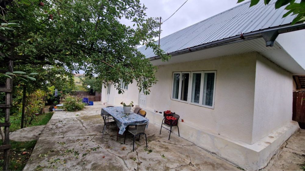 Casă si teren la tară, jud. Vaslui, 3259 mp