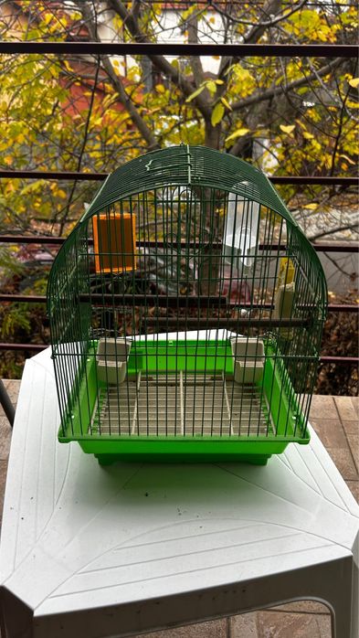 colivie pentru păsării