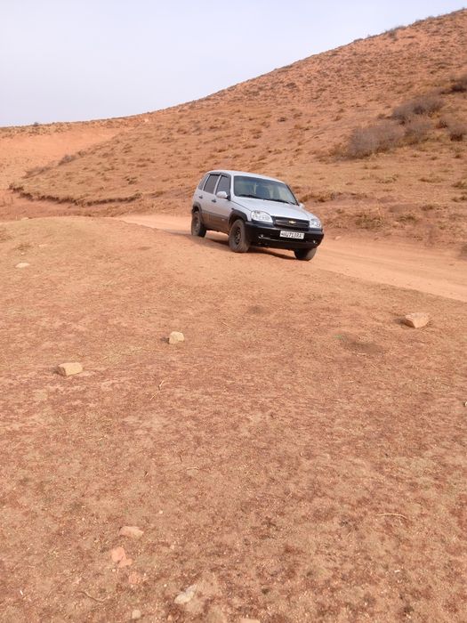 Нива Шевроле 205