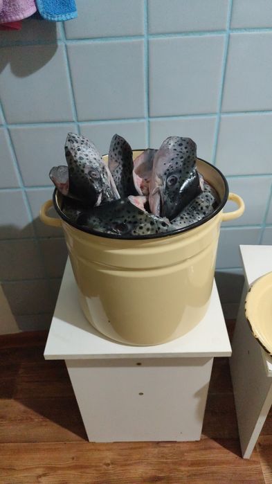 Продается суп набор из красной рыбы