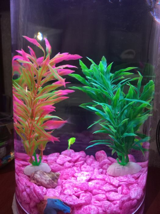 комплект аквариум  рыбки