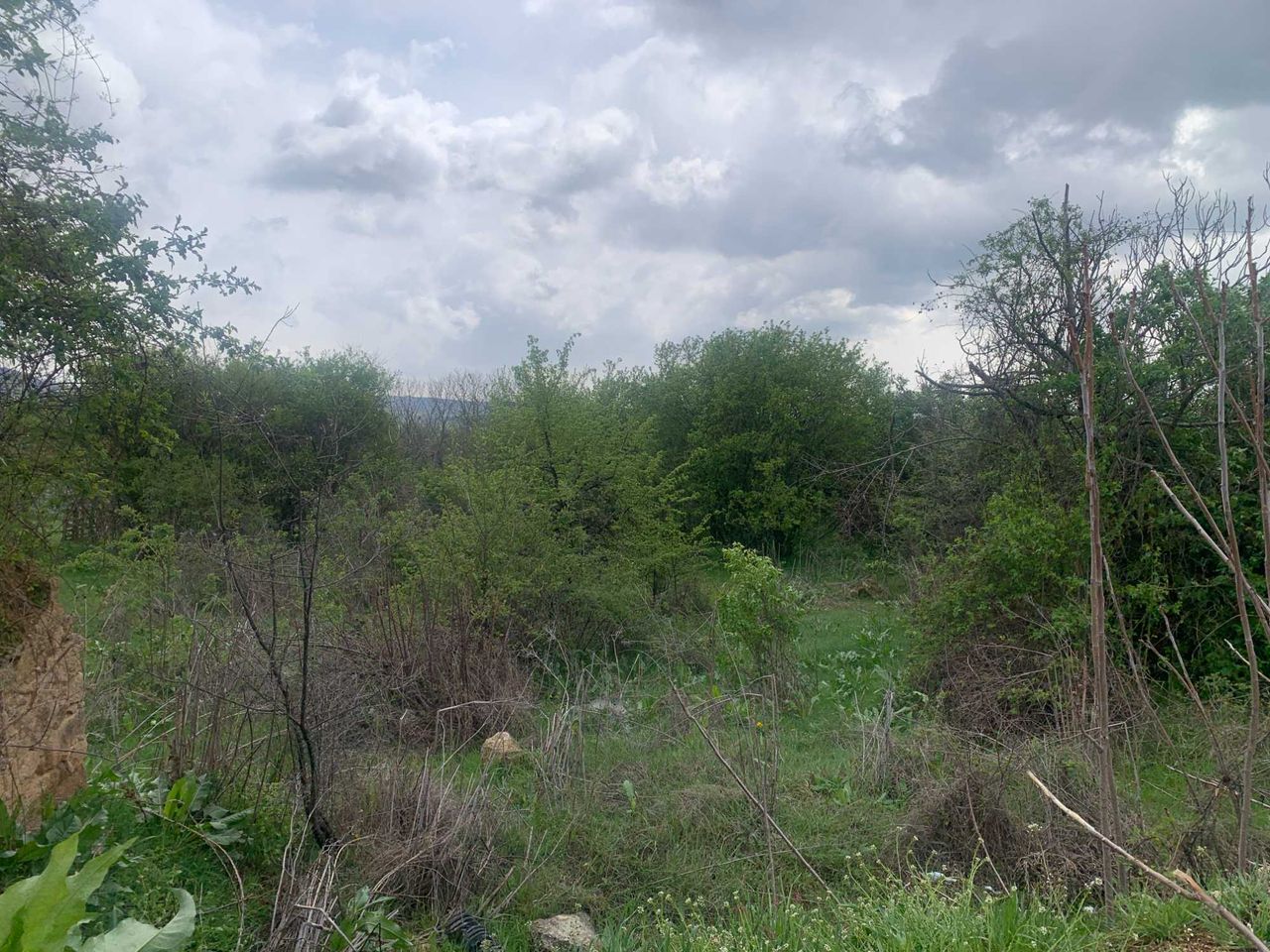 Продава се Парцел в Хисаря - 958 кв.м за 33 €/кв.м - Снимка #1