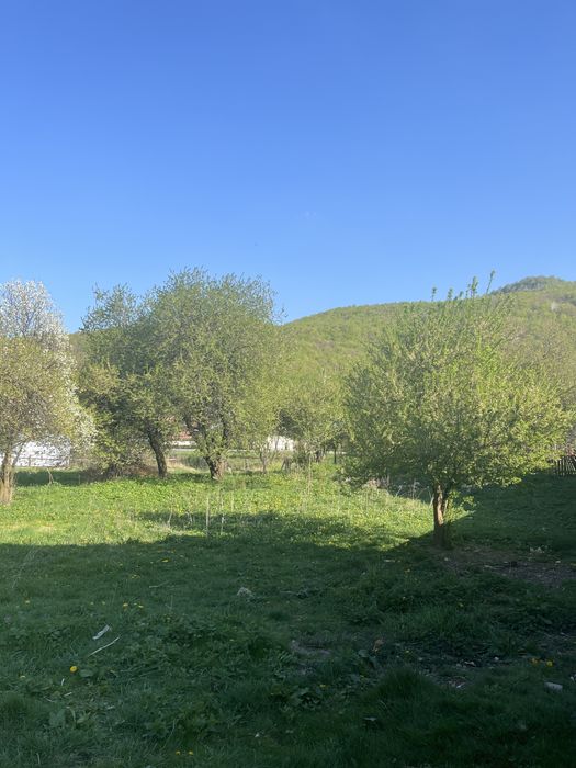 Teren Slanic Moldova la soseaua principala (La Kuburi)