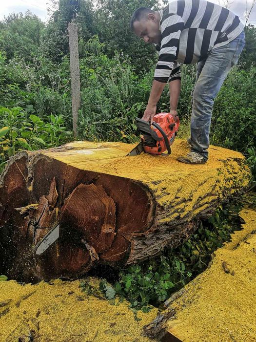 Бичене на трупи .