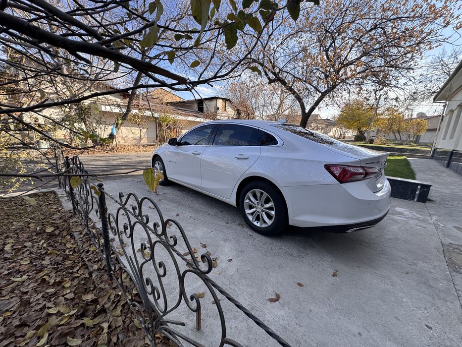 Милибу премер 2020 йил