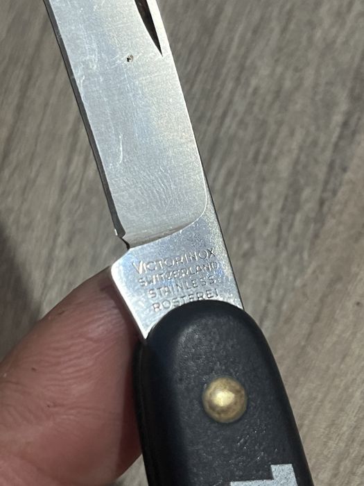 Briceag victorinox pr altoit