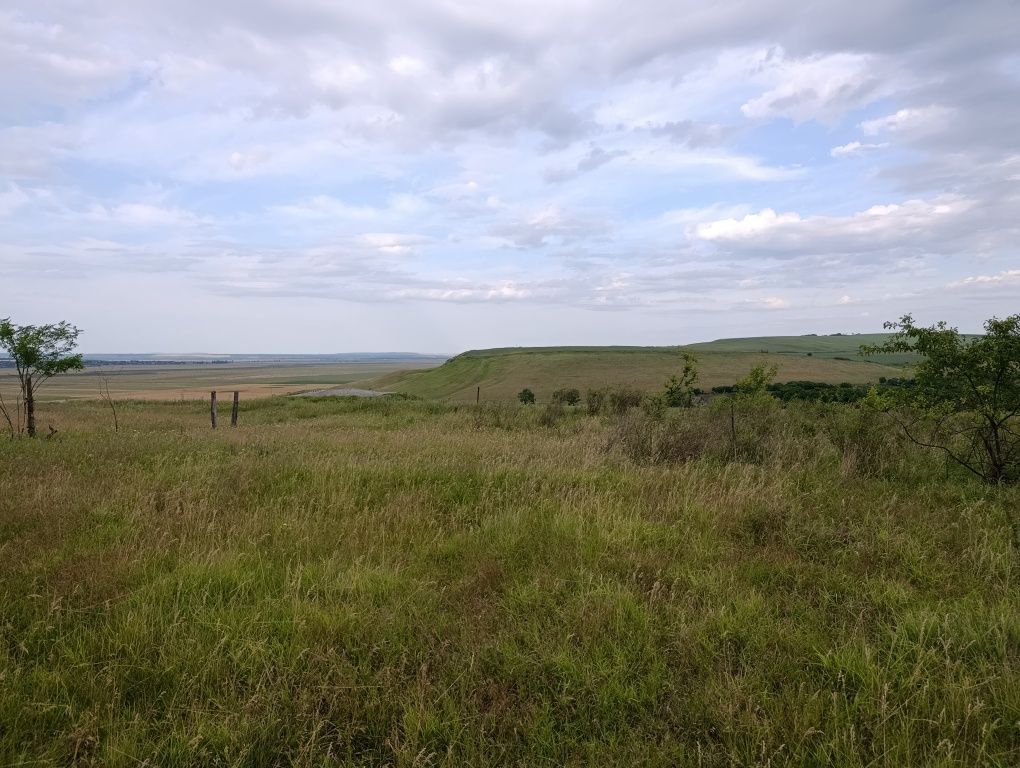 Vând teren intravilan în sat Iepureni, com. Movileni, jud. Iași