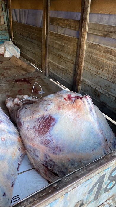 Сиыр етін сатамын(молодняк)