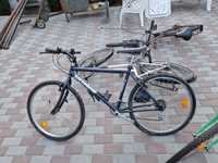 Biciclete germania