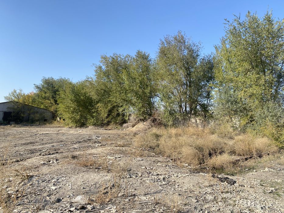 Дрова, Жетиген (Николаевка)