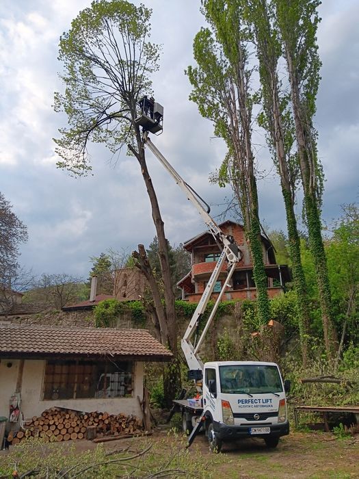 Услуги с Вишка под наем Автовишка