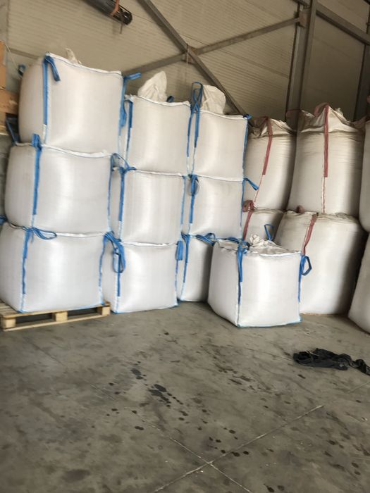 Fasole productie 2025