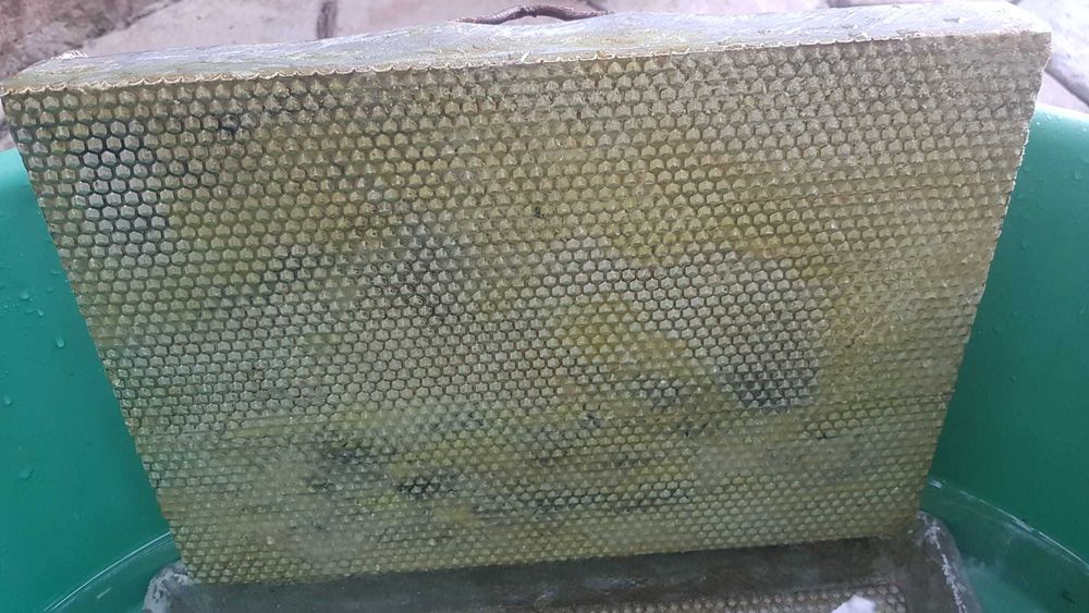 Presa ceara faguri Albine de 5.4 mm