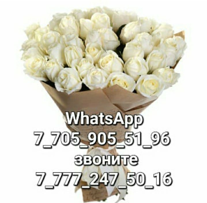 Сдам однокомнатную в аренду ЖК Тамыз