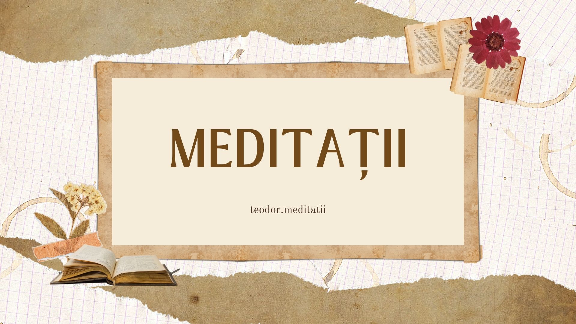 Ofer meditatii la limba romana