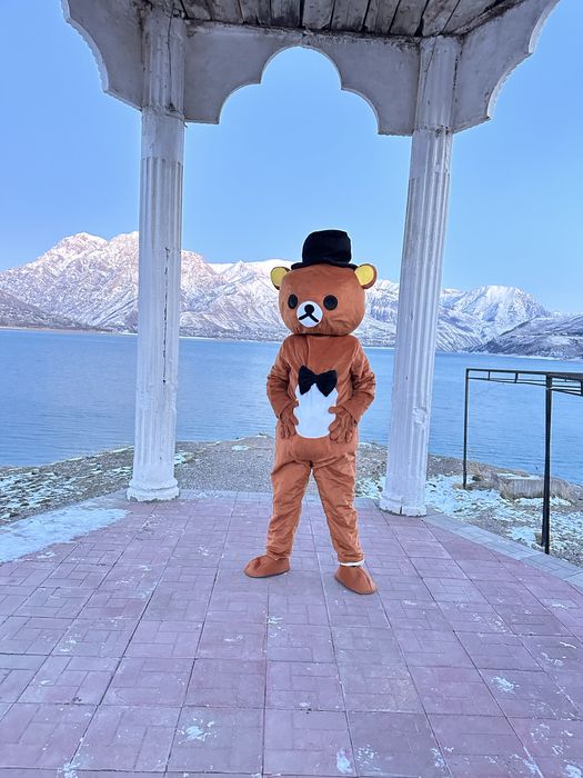 Продается Аниматоры