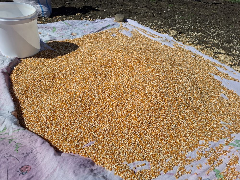 Graunțe pentru floricele ( Popcorn )