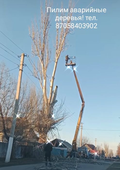 СПИЛ Аварийных деревьев