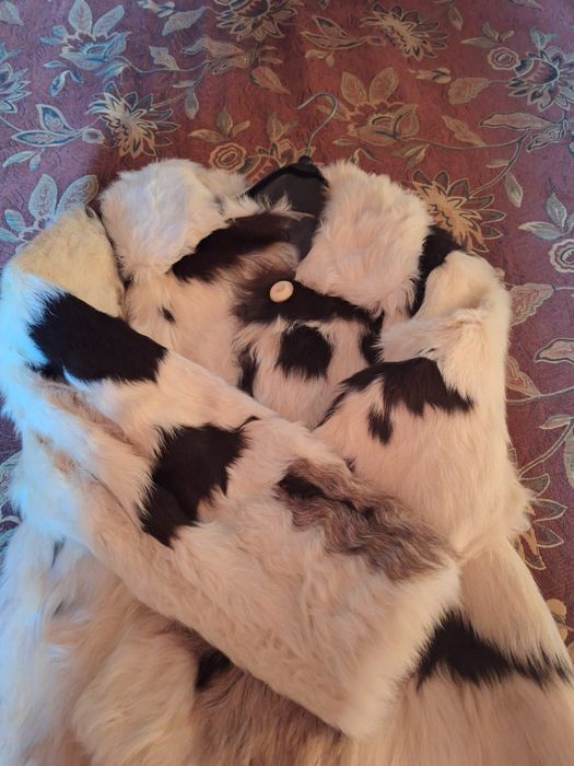 Haina de blana de ied