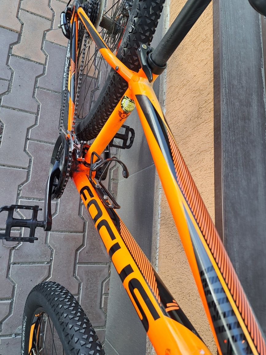 mtb 2022 focus 29 er