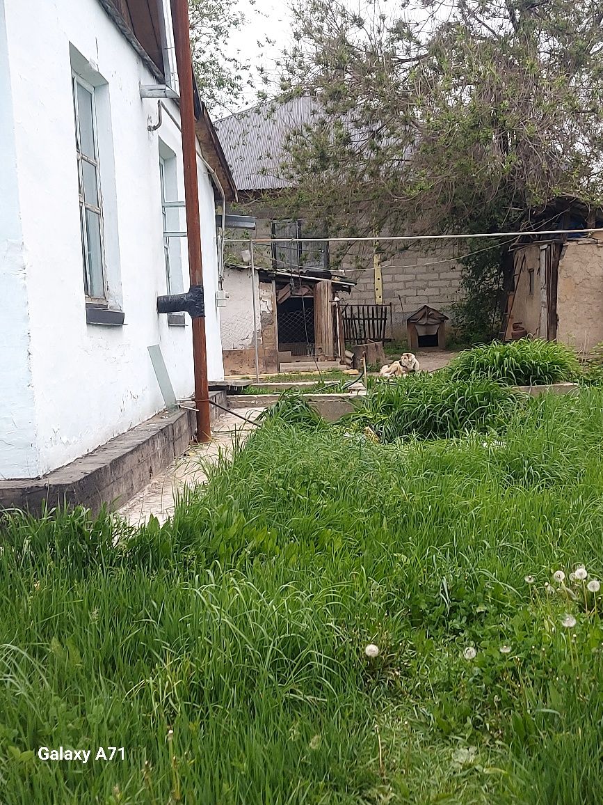 Продам дом мкр Саукеле