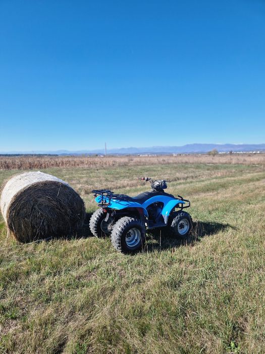 vand atv e ton 150cc exl yukon